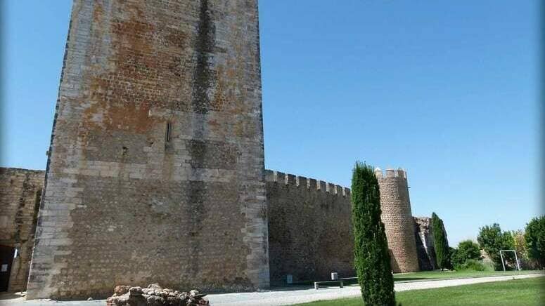 Excursión a la presa de Moura y Alqueva con crucero en barco