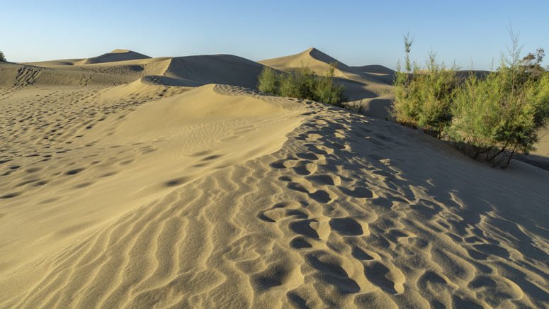 segway meloneras ruta camello maspalomas
