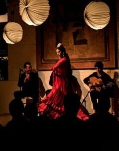 Auténtico espectáculo flamenco gitano