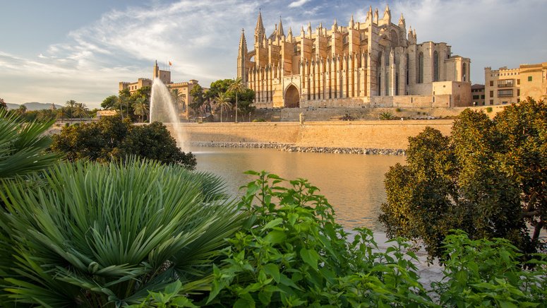 Tour privado casco histórico Palma