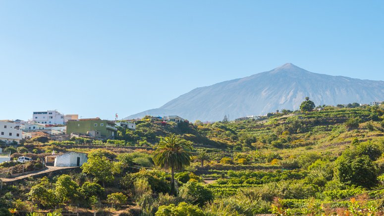 excursion privada garachico icod