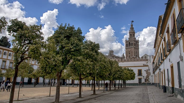 Free tour barrio de Santa Cruz