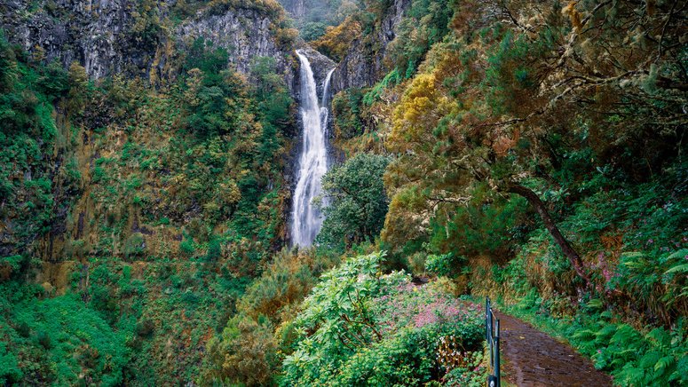 Ruta 25 fuentes Rabaçal