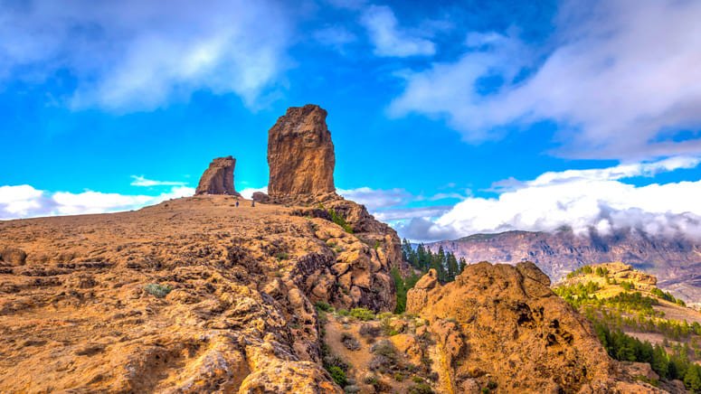 Vive Gran Canaria día
