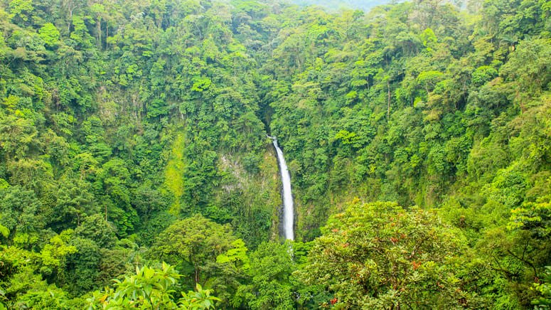 Rápel en las cataratas de Monteverde