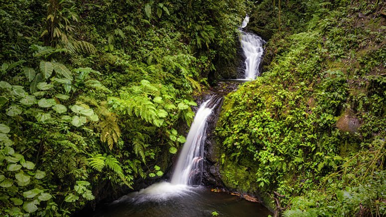 Rápel en las cataratas de Monteverde