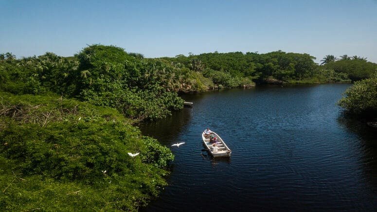 Excursión por la vida salvaje de Puerto de Ángel