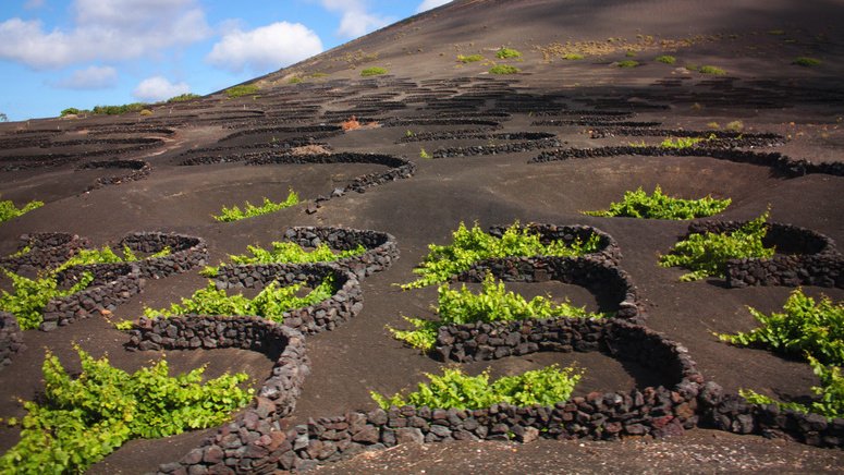 Excursión Parque Nacional Timanfaya