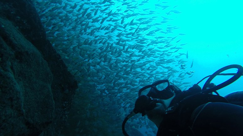 Bautismo-buceo-galletas-tenerife