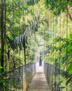 Tour puentes colgantes y barranquismo