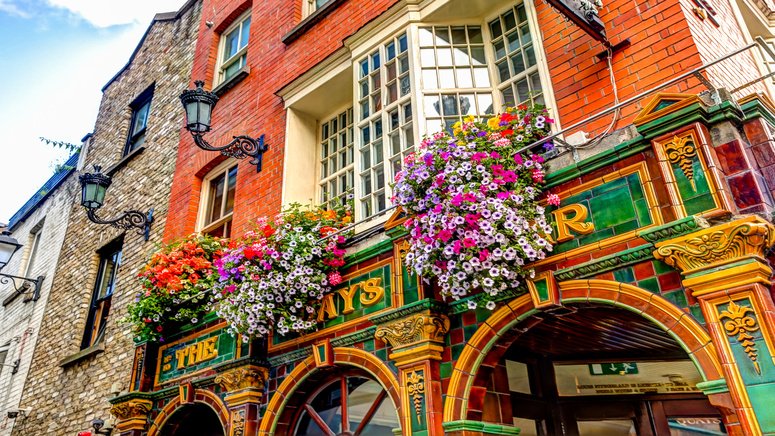 tour pubs irlandeses cata cerveza