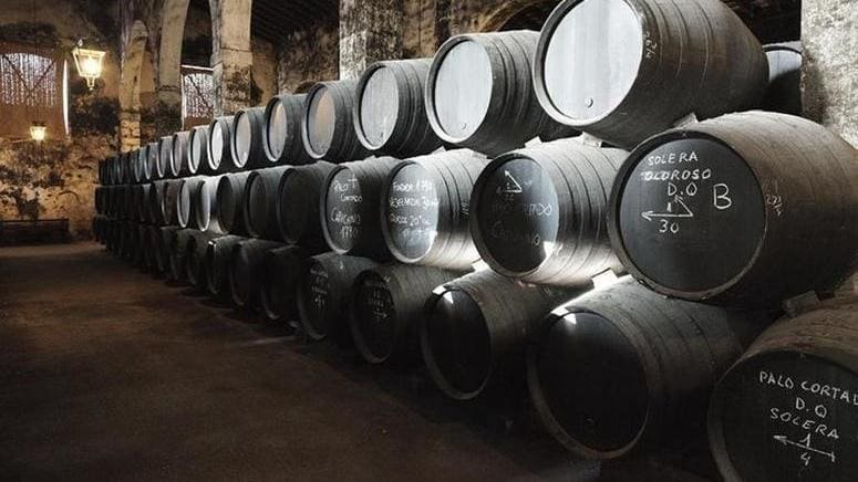 Visita bodega familiar cata E Puerto Santa María
