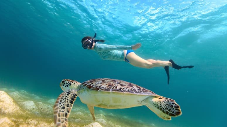 Snorkel Bahía Chileno Cala Santa María 
