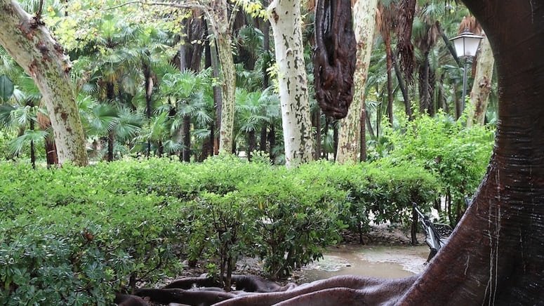 Tour secretos Parque María Luisa Plaza España