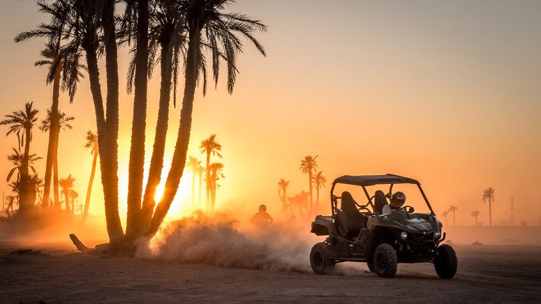 ¡Aventura en buggy por el desierto!