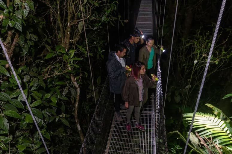 Ruta nocturna Parque Místico Arenal
