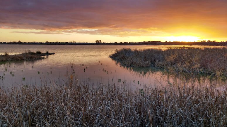 Excursión dos días Doñana desde Sevilla