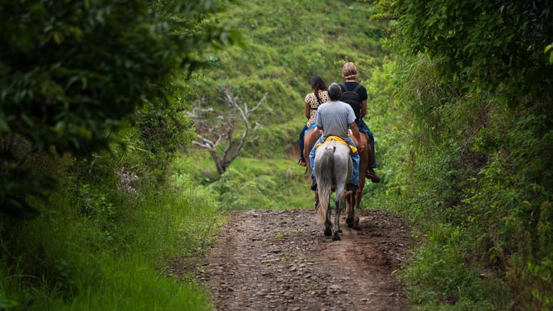 Tour privado caballo Monteverde