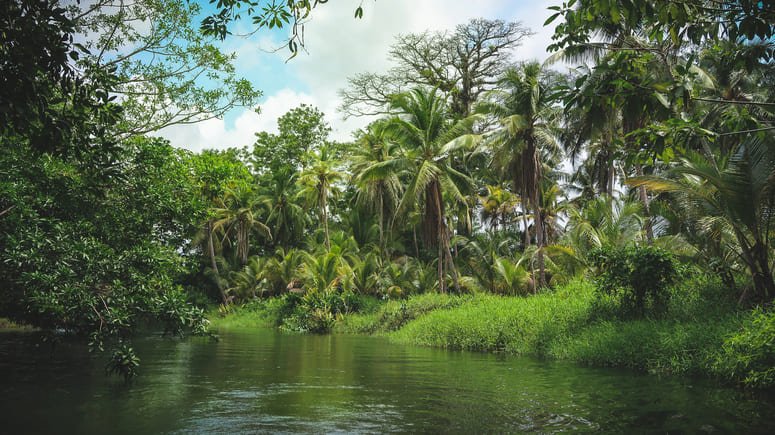 Tirolina en la selva y tour por el Lago Gatún