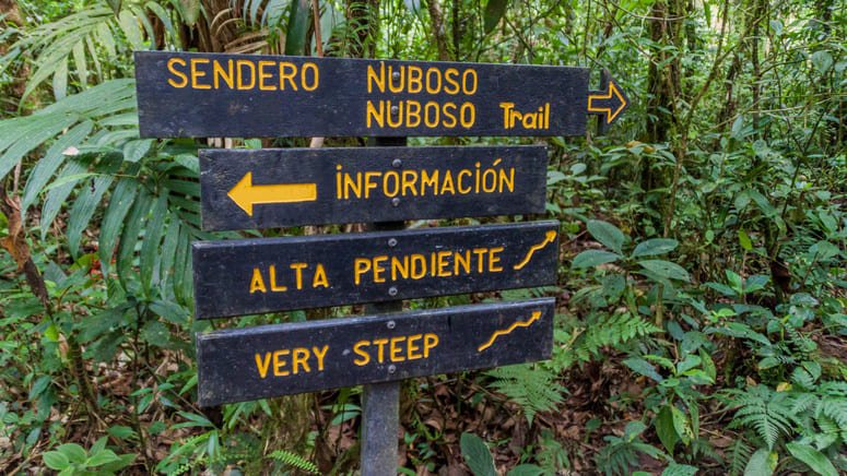 Tour transporte Bosque Nuboso Natural Monteverde