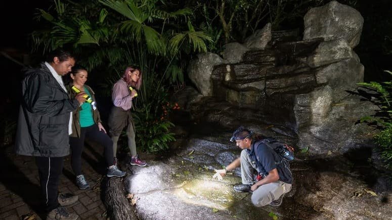 Ruta nocturna Parque Místico Arenal