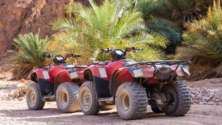 Tour quad palmeras