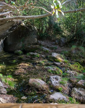 Tour Ciudad Encantada y río Cuervo