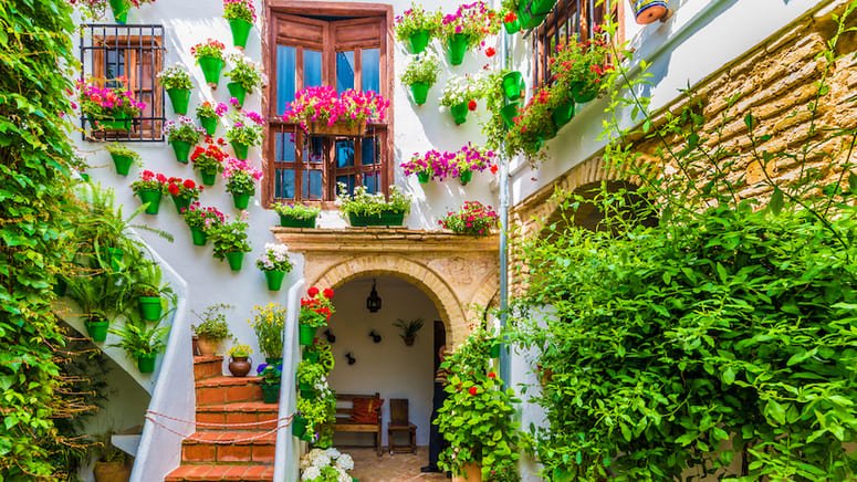 Excursión Córdoba y Mezquita desde Sevilla