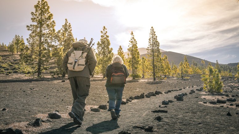 excursion privada teide cata vinos