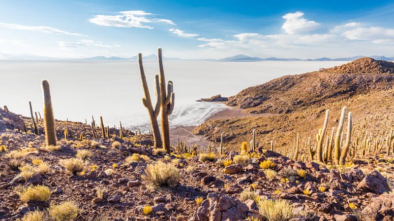 Excursión al Salar de Uyuni desde Potosí
