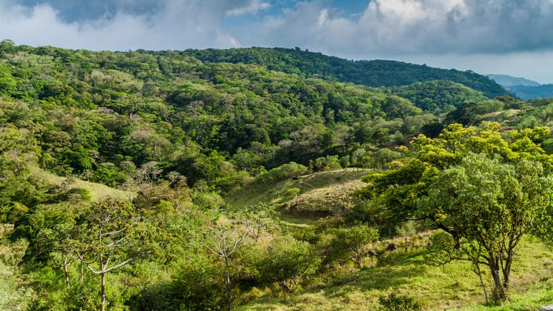 Excursión Reserva Bosque Nuboso Santa Elena