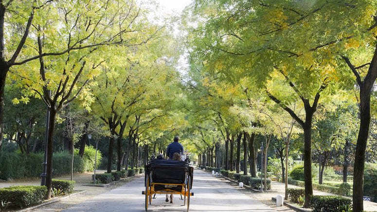 Tour secretos Parque María Luisa Plaza España