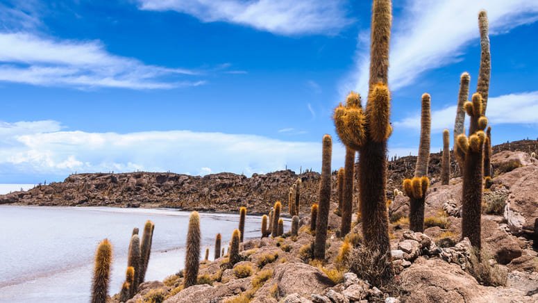 Excursión al Salar de Uyuni desde Potosí