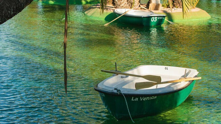 paseo barca palmerales elche