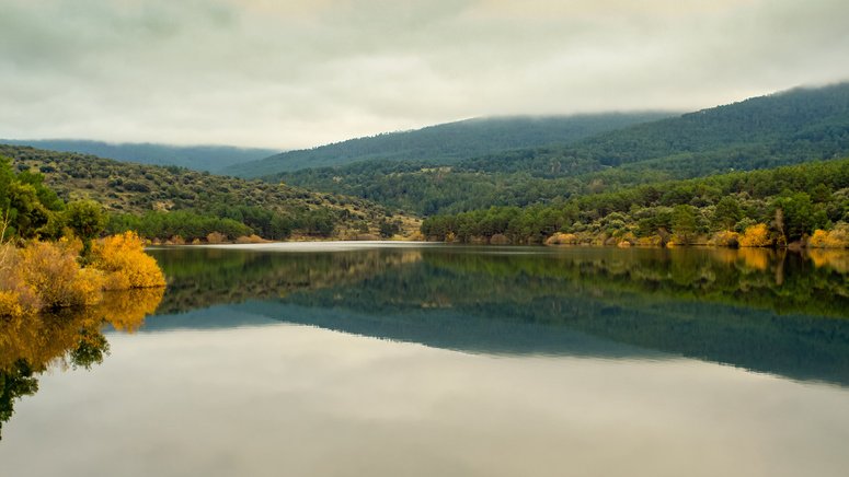 Excursión Parque Nacional Guadarrama 