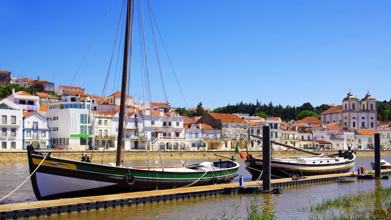 Avistamiento delfines Setúbal
