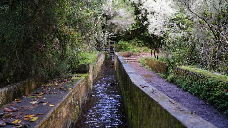 Trekking Ribeiro Frio Portela