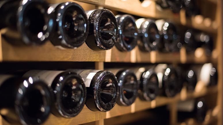 Tour bicicleta eléctrica cata vinos El Penedés