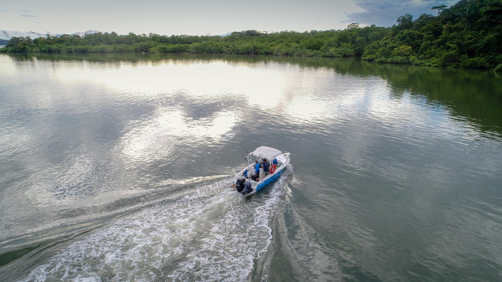 pesca isla cebaco