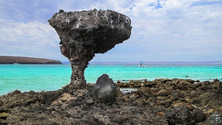 Excursión La Paz Los Cabos