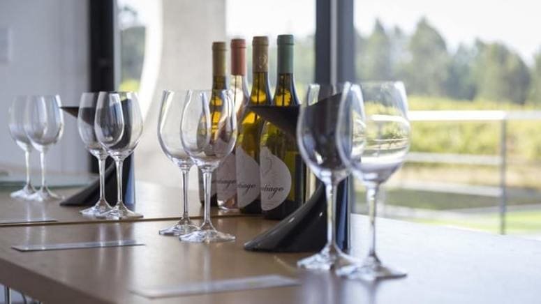cata vino cosechas poças
