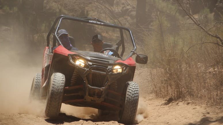 Buggy Teide