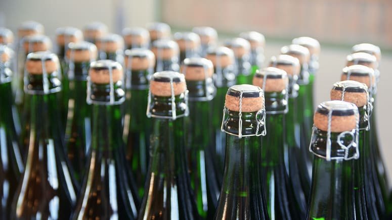 Aprende a hacer cava en un día en Barcelona