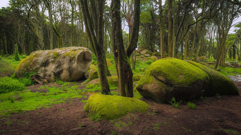 senderismo parque natural sintra cascais
