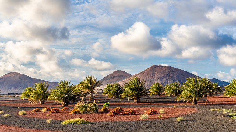 Excursión Parque Nacional Timanfaya
