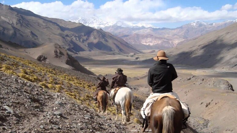Excursión caballo Andes