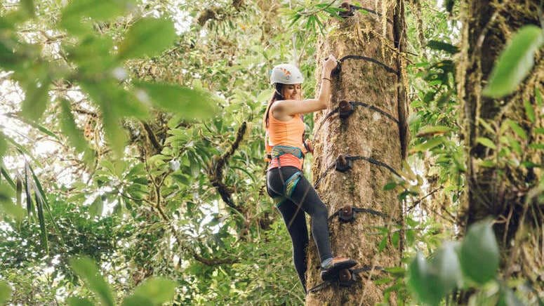 Escalada cima árbol Monteverde