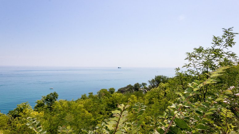paseo privado barco pescara ripari giobbe