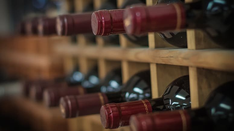 Viticultura cata de vinos El Penedés