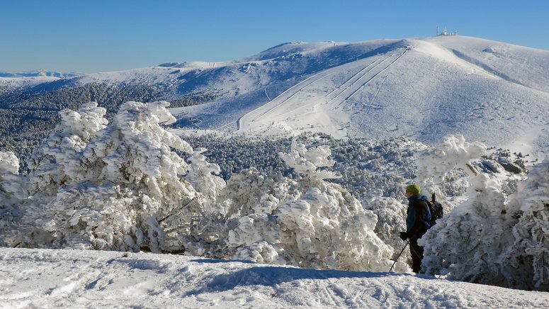 raquetas nieve navacerrada madrid